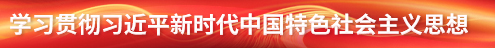 學(xué)習(xí)貫徹習(xí)近平新時代中國特色社會主義思想主題教育